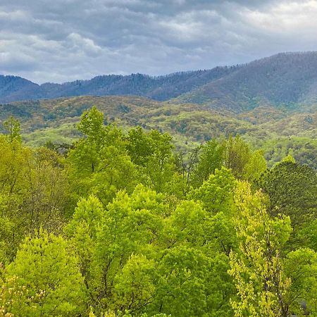 Amazing Views Villa Gatlinburg Ruang foto