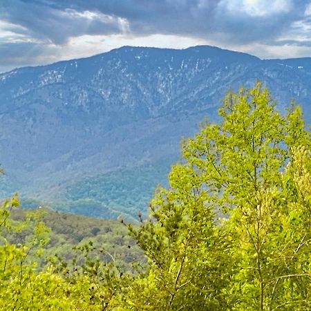 Amazing Views Villa Gatlinburg Ruang foto