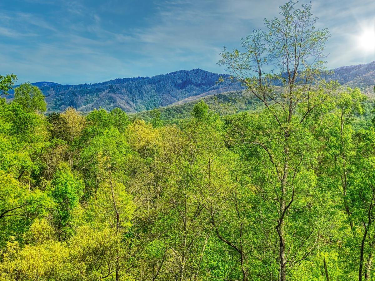 Amazing Views Villa Gatlinburg Bagian luar foto